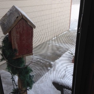 Birdhouse & sidewalk